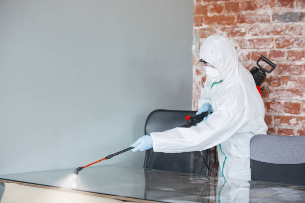 Best Dehumidification Services in New Cassel, NY